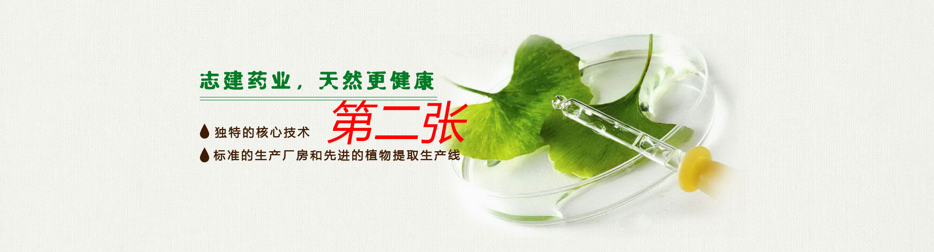 幻灯片2