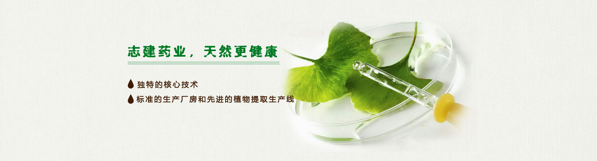 幻灯片1